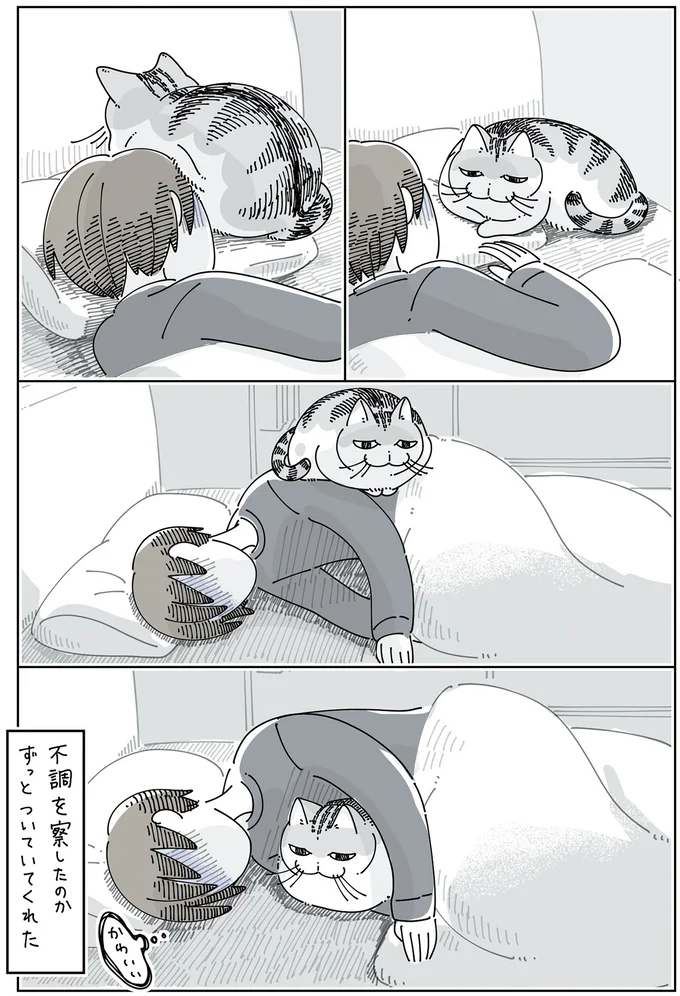 『夜は猫といっしょ』4～6 15971531.webp