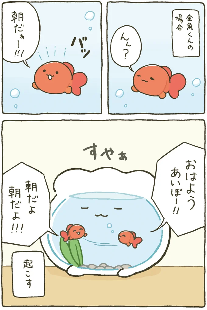 『金魚鉢ちゃん ずっといっしょのまいにち』 15984437.webp