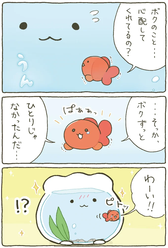 『金魚鉢ちゃん ずっといっしょのまいにち』 15984440.webp