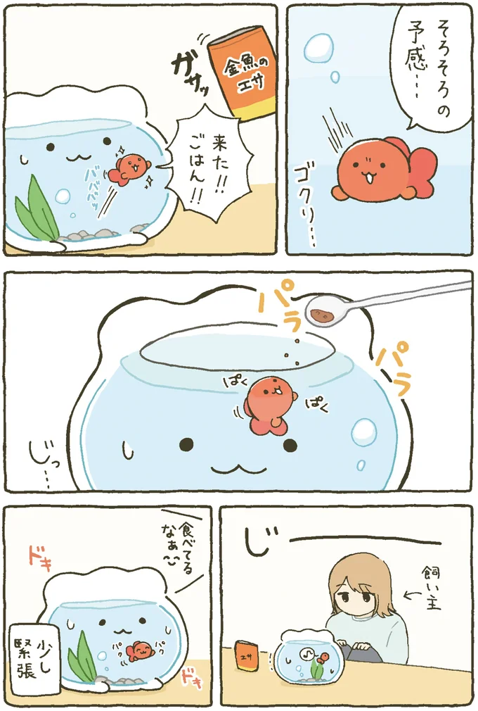 『金魚鉢ちゃん ずっといっしょのまいにち』 15984443.webp