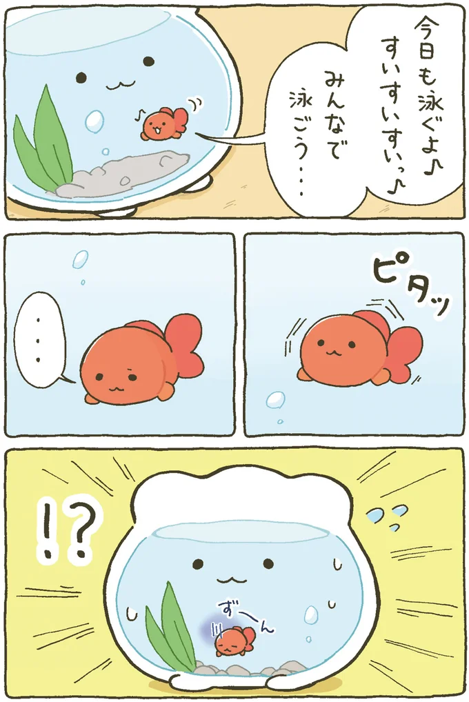 『金魚鉢ちゃん ずっといっしょのまいにち』 15984444.webp
