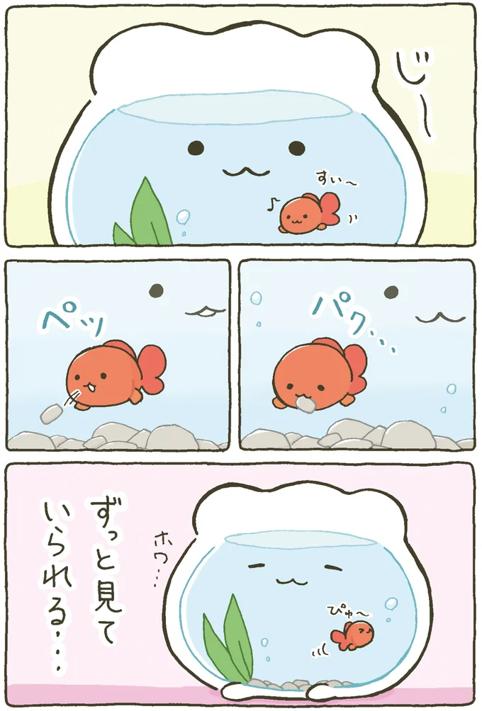 『金魚鉢ちゃん ずっといっしょのまいにち』 15984457.webp