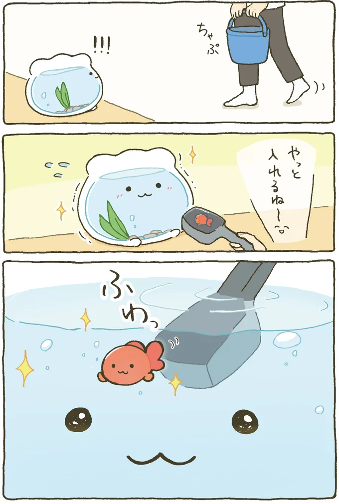 『金魚鉢ちゃん ずっといっしょのまいにち』 15984468.webp