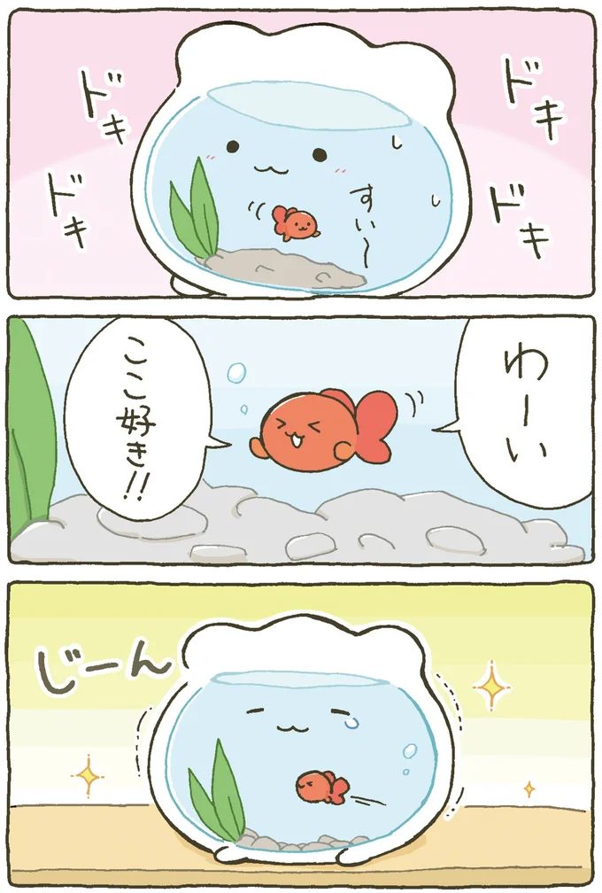 『金魚鉢ちゃん ずっといっしょのまいにち』 15984469.webp