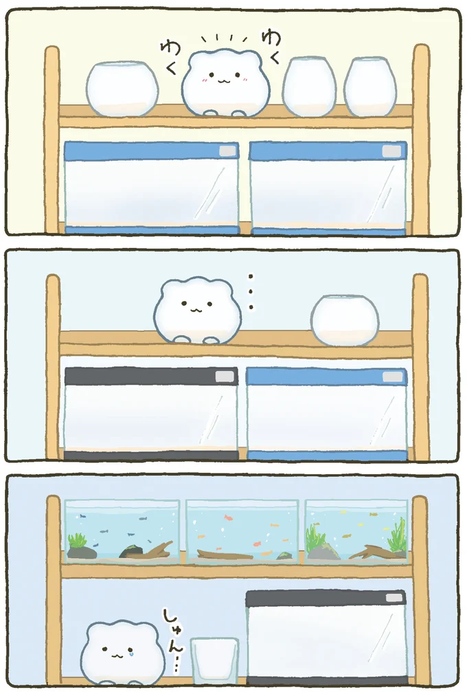 楽しく泳いでくれるかな。ペットショップで出会いを待つ金魚鉢ちゃん／金魚鉢ちゃん ずっといっしょのまいにち 15984471.webp