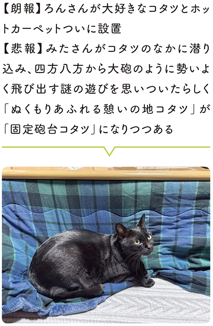 『黒猫ろんと暮らしたら』4～7 15986419.webp