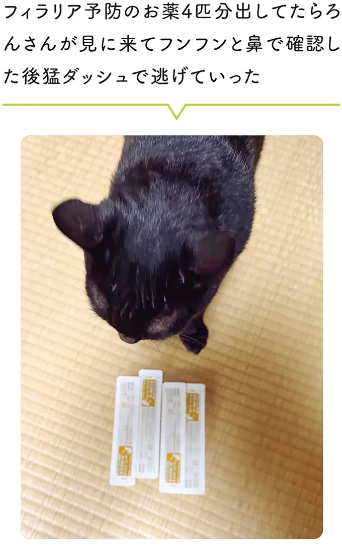 『黒猫ろんと暮らしたら』4～7 15986783.webp