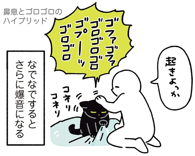 『黒猫ろんと暮らしたら』4～7 15986807.webp