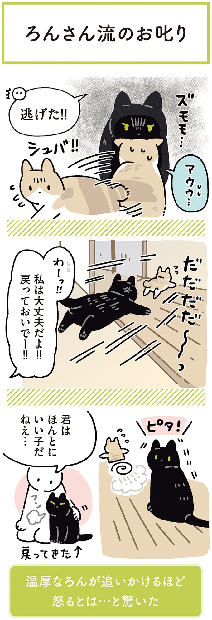 『黒猫ろんと暮らしたら』4～7 15986821.webp