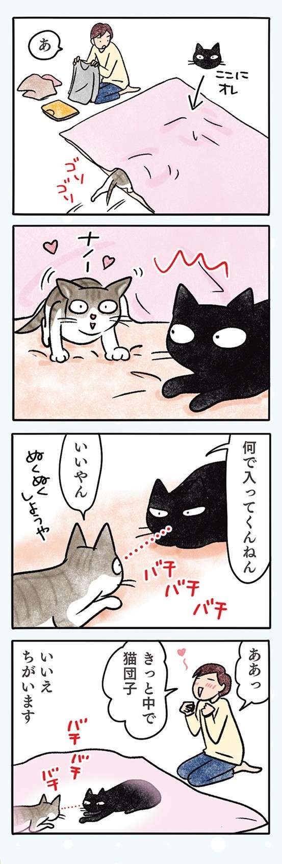 うちの猫2匹の微妙な「距離感」。仲がいいのか悪いのか／黒猫ナノとキジシロ猫きなこ kuroneko_nano13-6.jpg