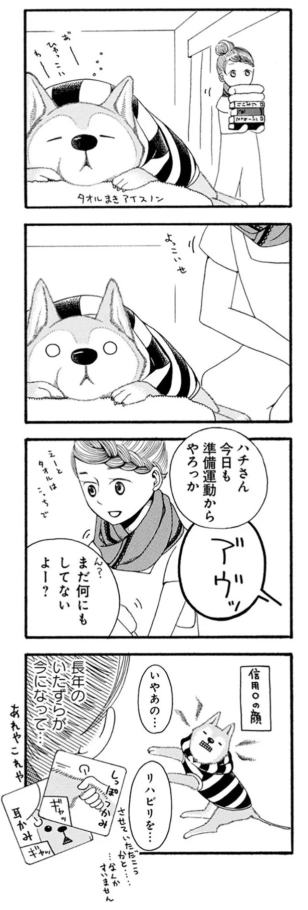 『96歳の柴犬ハチさんは、今日もお散歩しています。』 43.webp