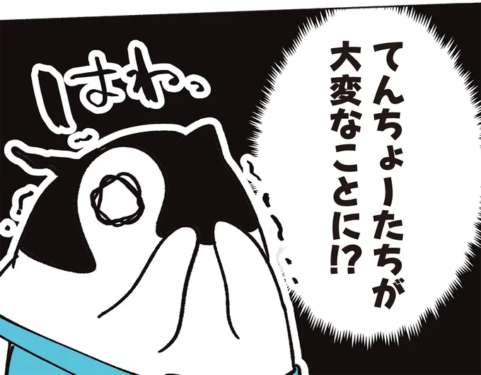 『ペンギン喫茶は今日も青天』1～3 16015105.webp