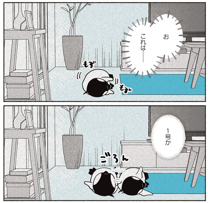 『ペンギン喫茶は今日も青天』1～3 16015159.webp