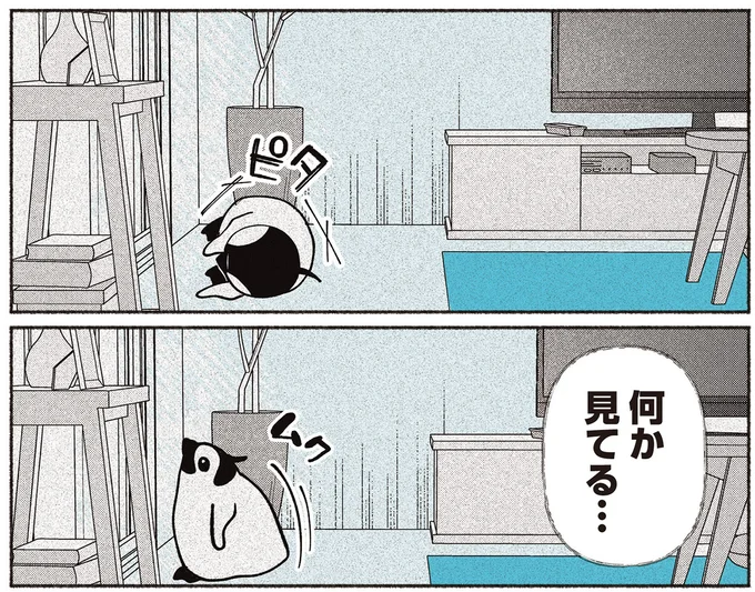 『ペンギン喫茶は今日も青天』1～3 16015161.webp