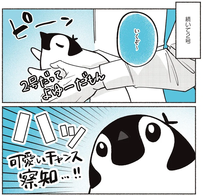 『ペンギン喫茶は今日も青天』1～3 16015377.webp