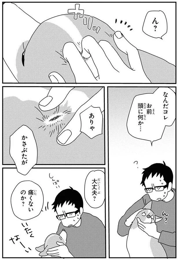 『あしょんでよッ8～10』 16053034.webp