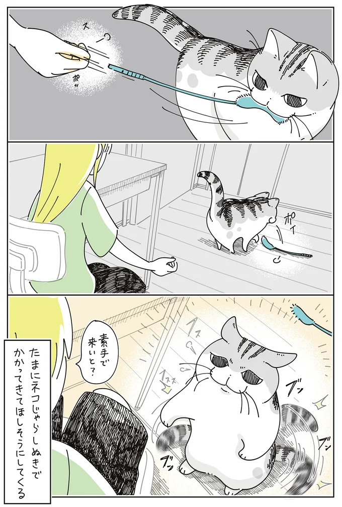 『夜は猫といっしょ』7～8 16061306.webp