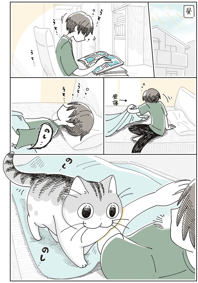 『夜は猫といっしょ』7～8 16061310.webp