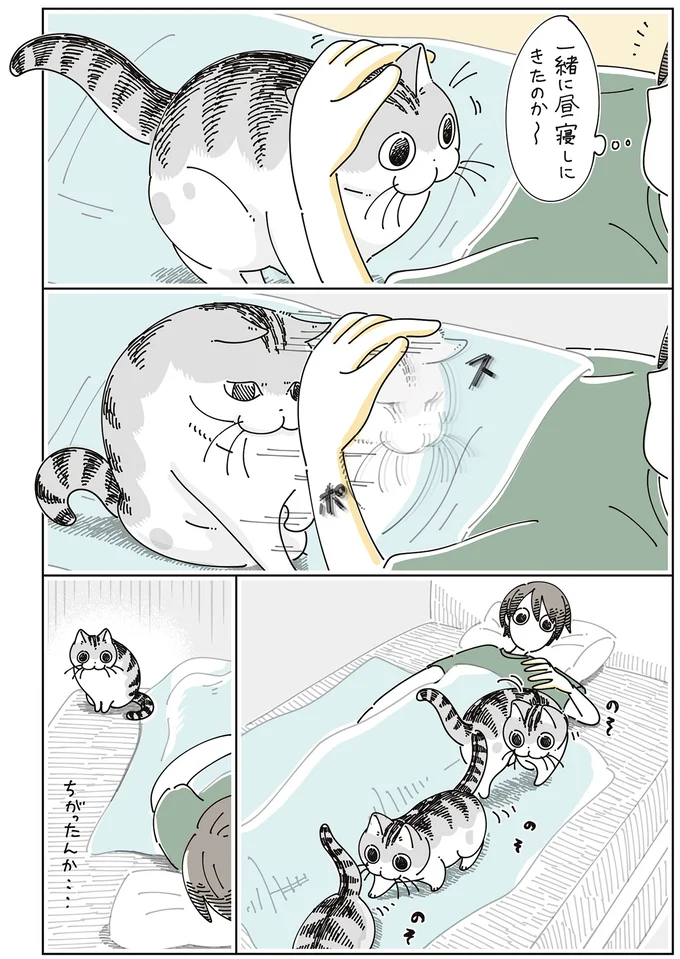 『夜は猫といっしょ』7～8 16061311.webp