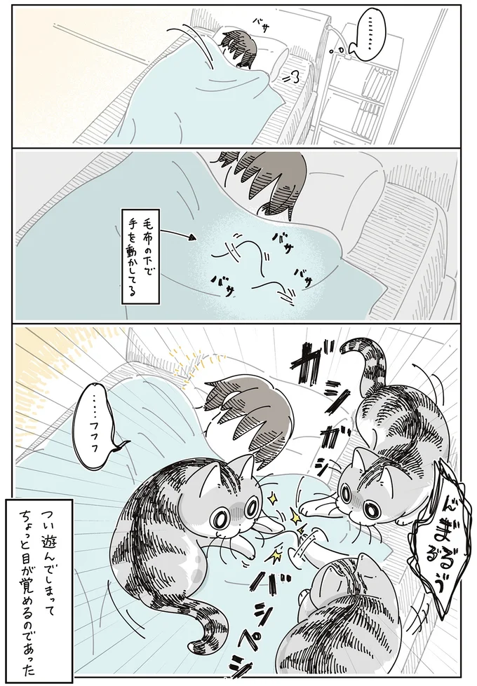 『夜は猫といっしょ』7～8 16061312.webp