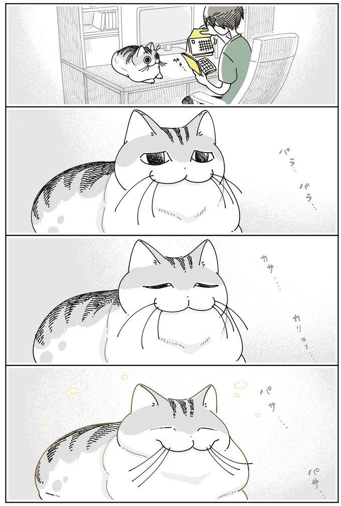 『夜は猫といっしょ』7～8 16061316.webp