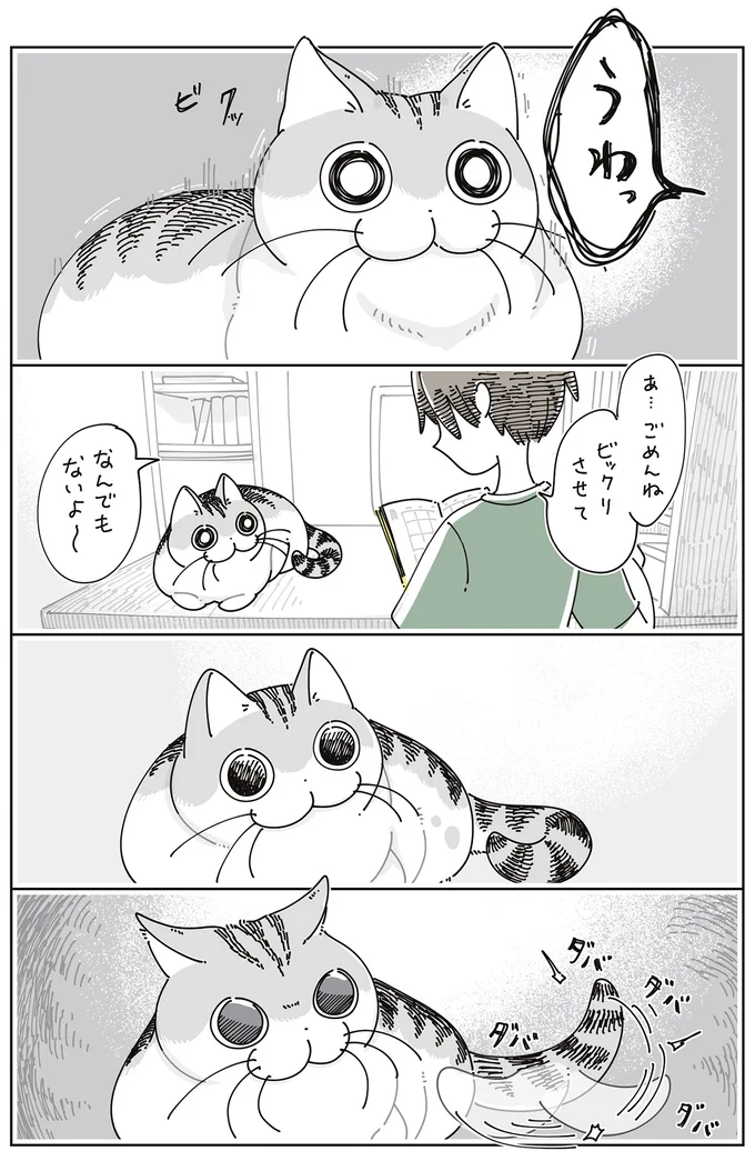 『夜は猫といっしょ』7～8 16061317.webp