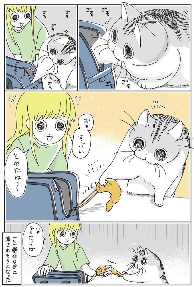 『夜は猫といっしょ』7～8 16061324.webp