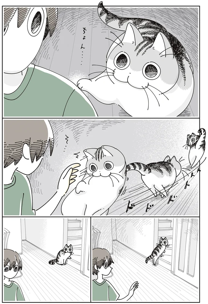 『夜は猫といっしょ』7～8 16061328.webp