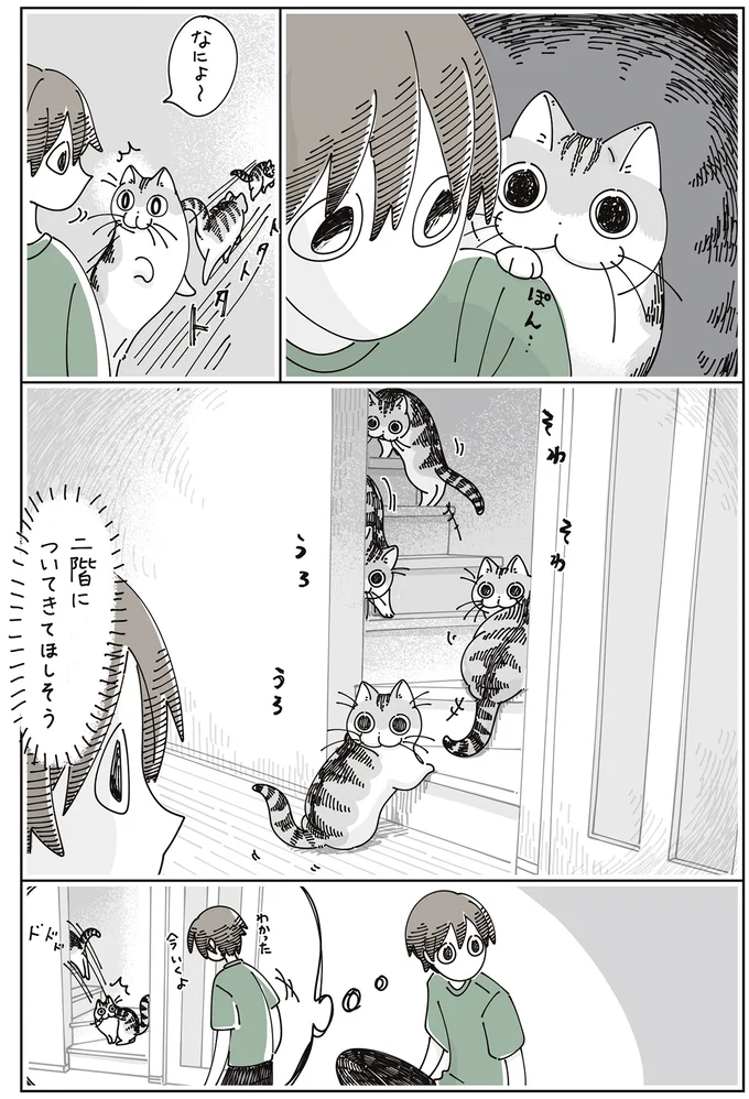 『夜は猫といっしょ』7～8 16061329.webp