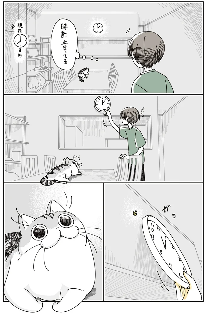 『夜は猫といっしょ』7～8 16061334.webp