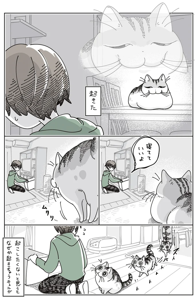 『夜は猫といっしょ』7～8 16061342.webp