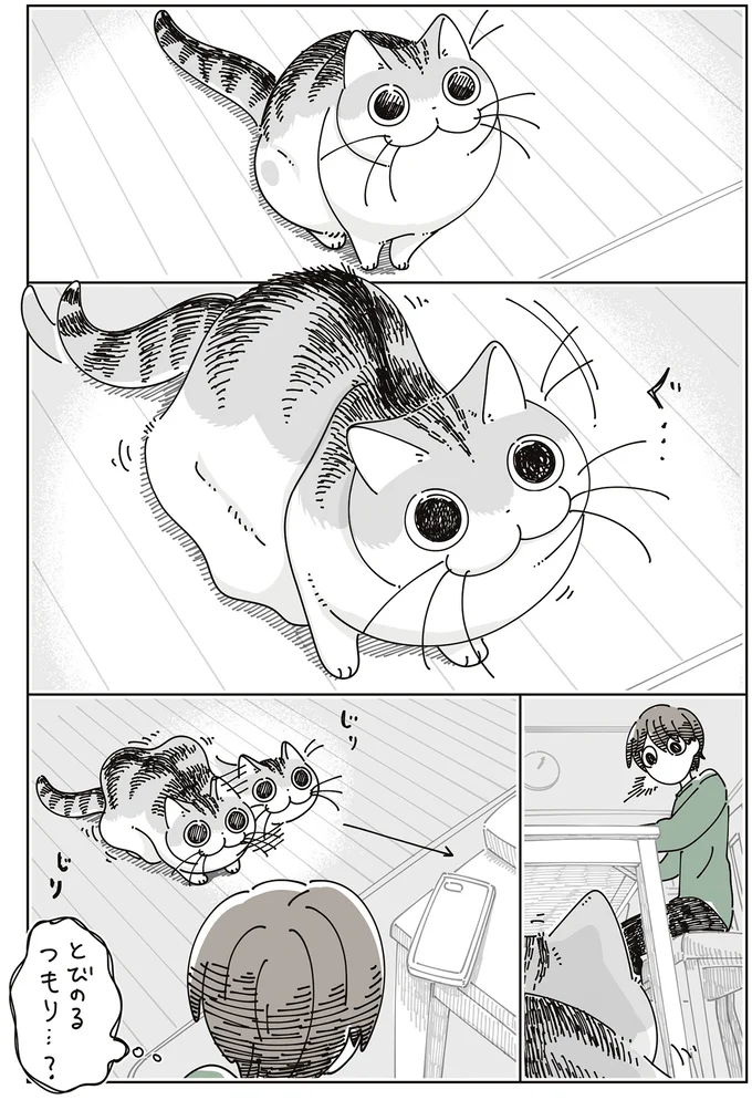 『夜は猫といっしょ』7～8 16061346.webp