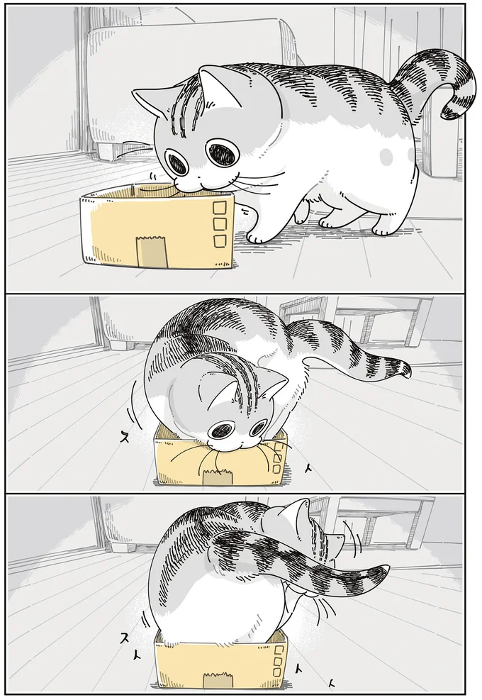 『夜は猫といっしょ』7～8 16061352.webp