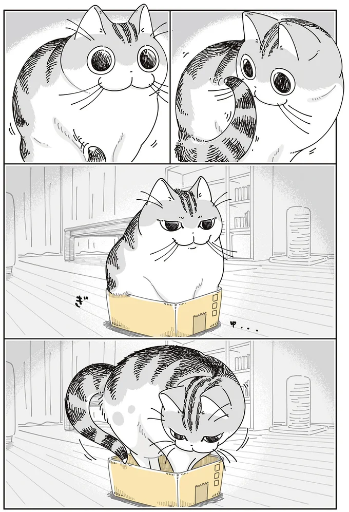 『夜は猫といっしょ』7～8 16061353.webp