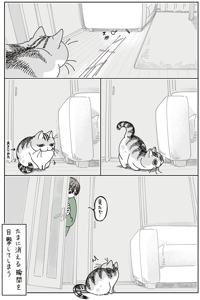 『夜は猫といっしょ』7～8 16061360.webp