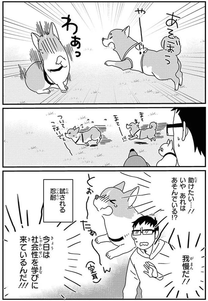 『あしょんでよッ8～10』 16070757.webp