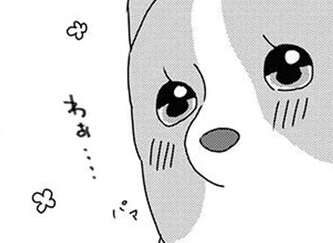 「愛しい...」愛犬の一人遊び、ついつい見守ってしまって／あしょんでよッ10