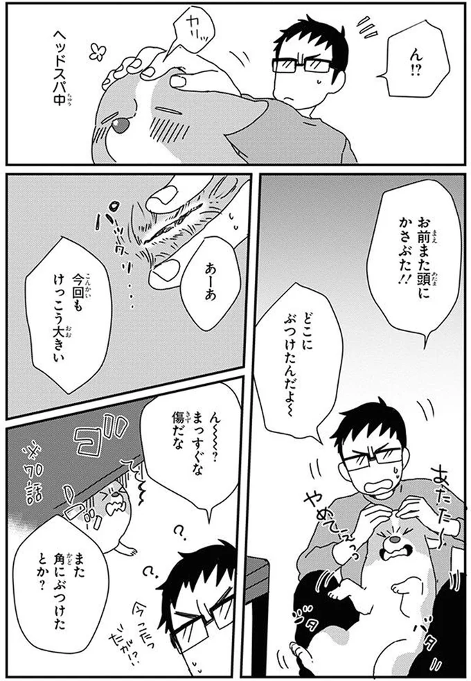 『あしょんでよッ8～10』 16070771.webp