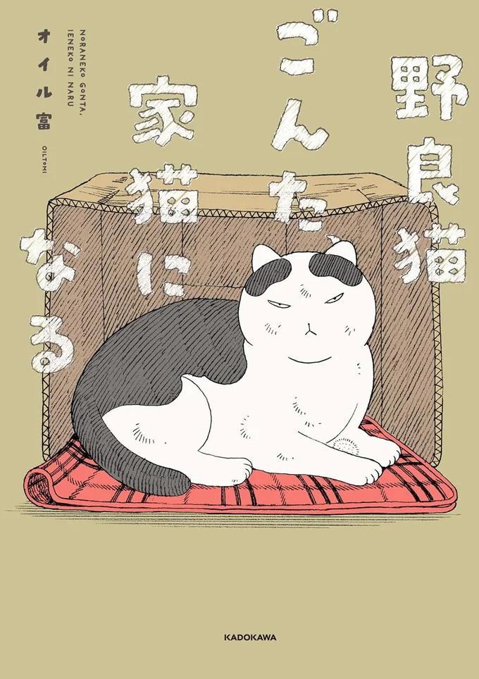 人間好きでくっつきたがる元野良猫。飼い主を追いかけて机の周りをぐるぐる／野良猫ごんた、家猫になる 16108650.webp