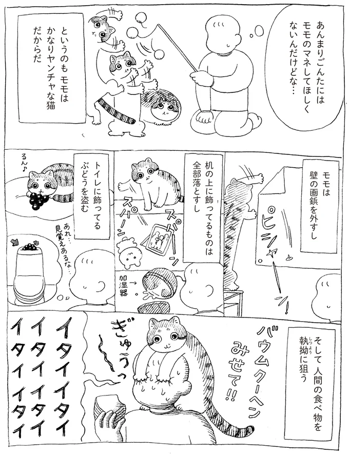 『野良猫ごんた、家猫になる』 16108695.webp
