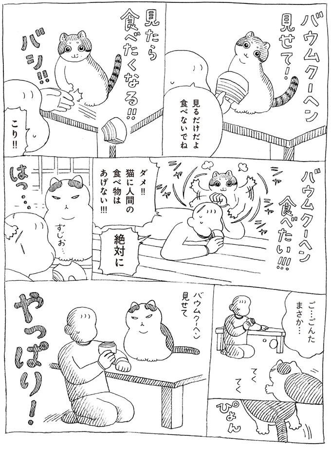 『野良猫ごんた、家猫になる』 16108697.webp