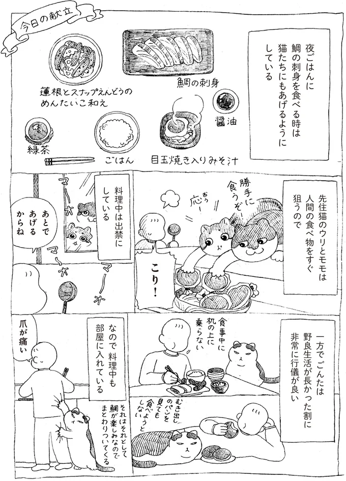『野良猫ごんた、家猫になる』 16108708.webp