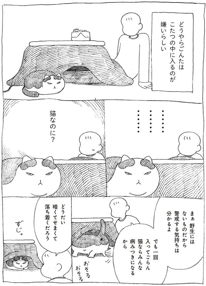 『野良猫ごんた、家猫になる』 16108714.webp