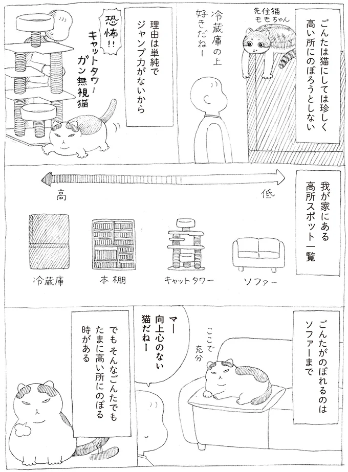 『野良猫ごんた、家猫になる』 16108718.webp