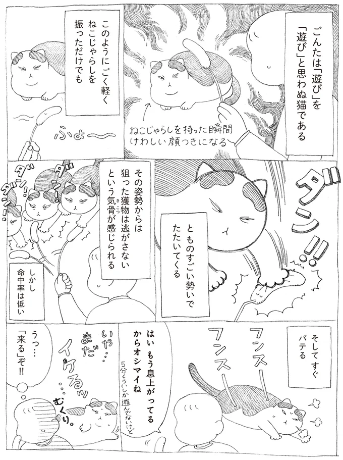 『野良猫ごんた、家猫になる』 16108724.webp