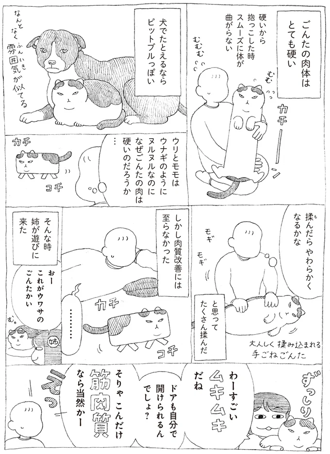『野良猫ごんた、家猫になる』 16108727.webp
