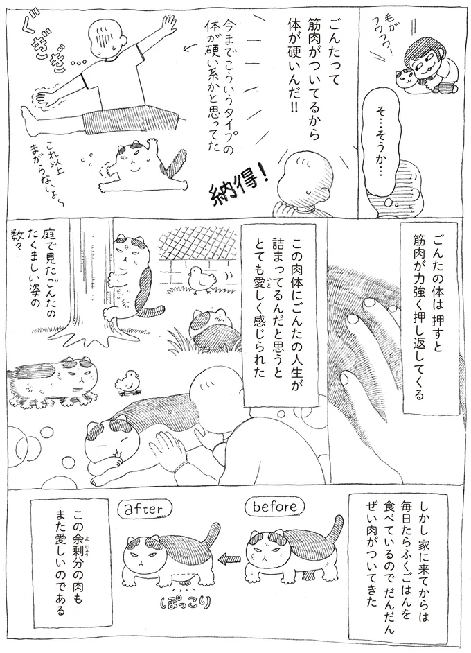 『野良猫ごんた、家猫になる』 16108728.webp