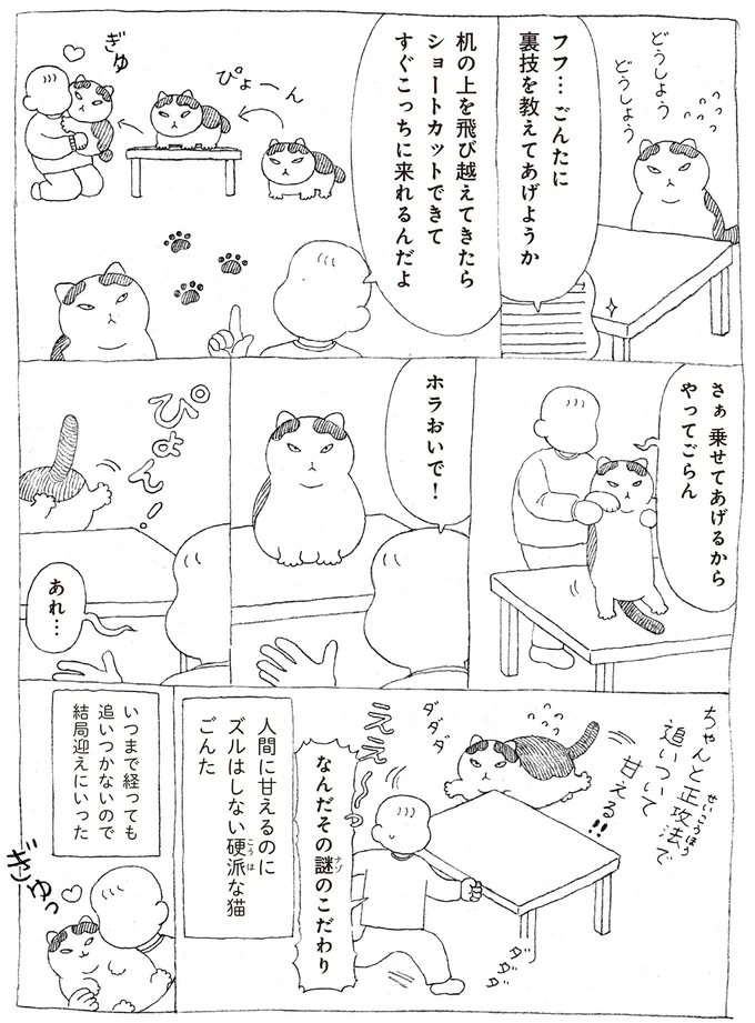 人間好きでくっつきたがる元野良猫。飼い主を追いかけて机の周りをぐるぐる／野良猫ごんた、家猫になる 16108730.webp