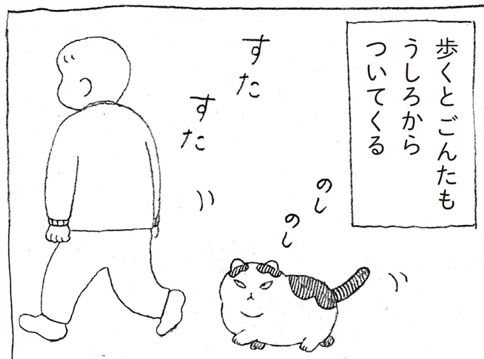 人間好きでくっつきたがる元野良猫。飼い主を追いかけて机の周りをぐるぐる／野良猫ごんた、家猫になる