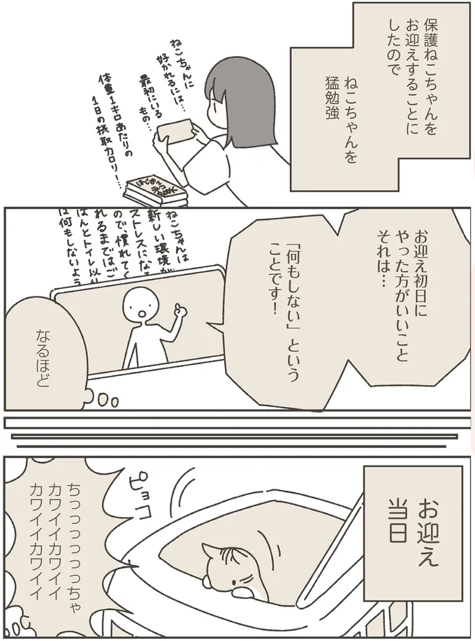 保護猫を迎えることにした女性。「初日は何もしない」と心に決めていたが...えええ！／ねこのつゆちゃんのことで頭がいっぱいです 16124195.webp
